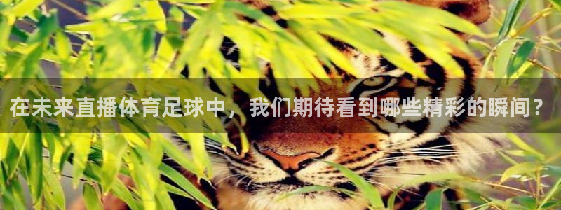 在未来直播体育足球中，我们期待看到哪些精彩的瞬间？