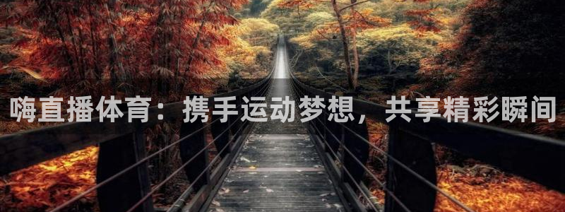 嗨直播体育：携手运动梦想，共享精彩瞬间
