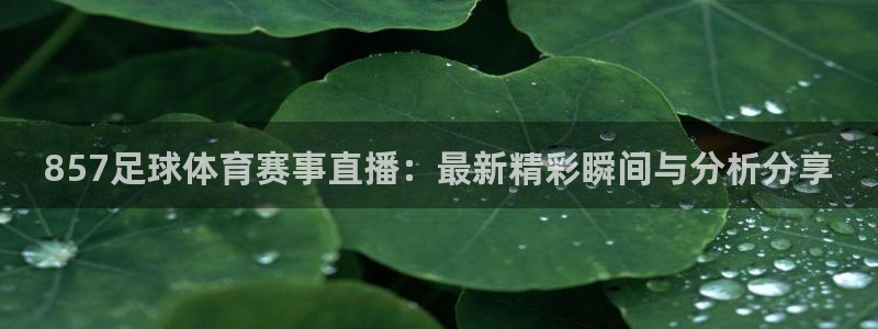857足球体育赛事直播：最新精彩瞬间与分析分享